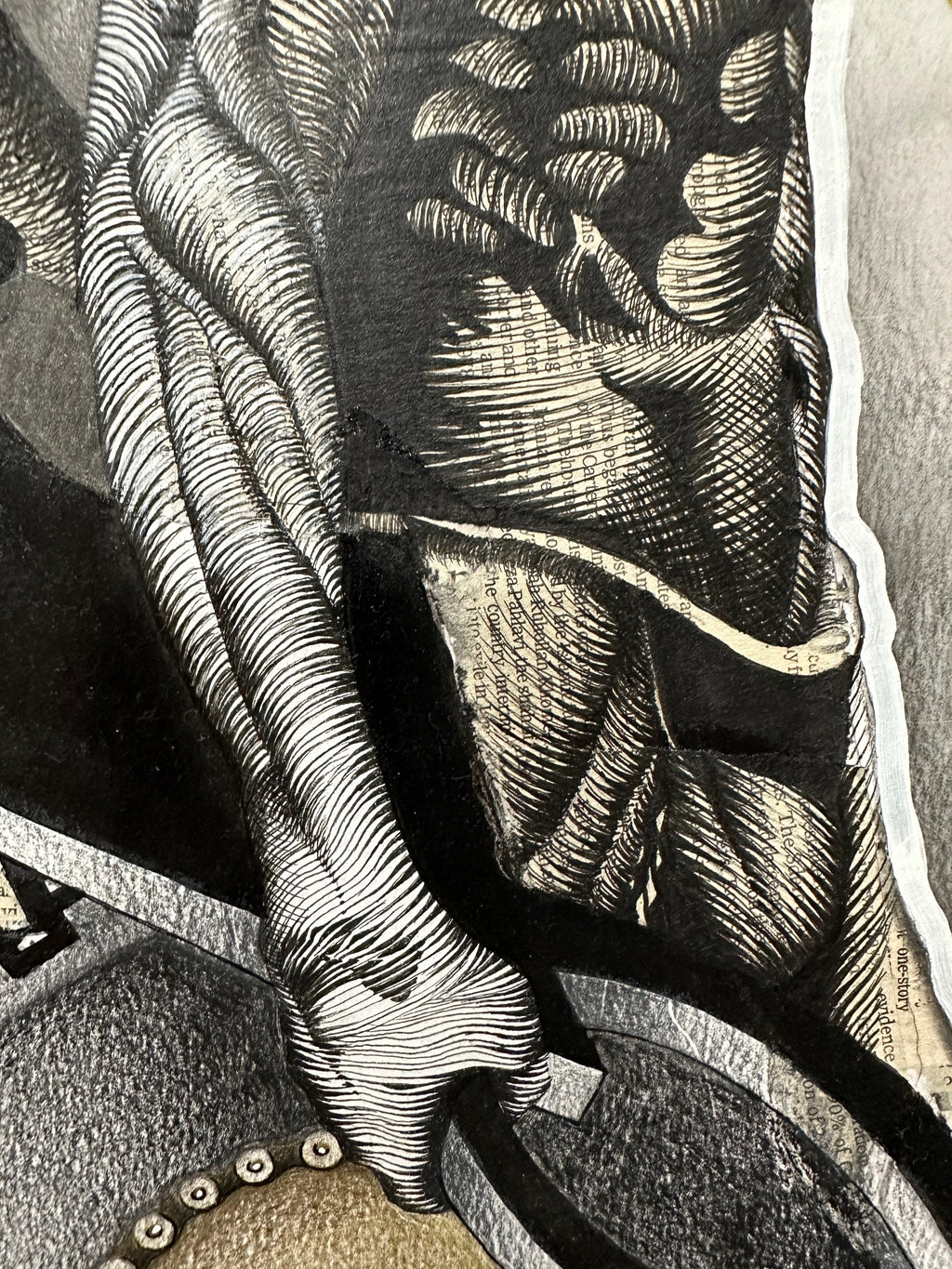 BUTTERFLY EFFECT, 2025.