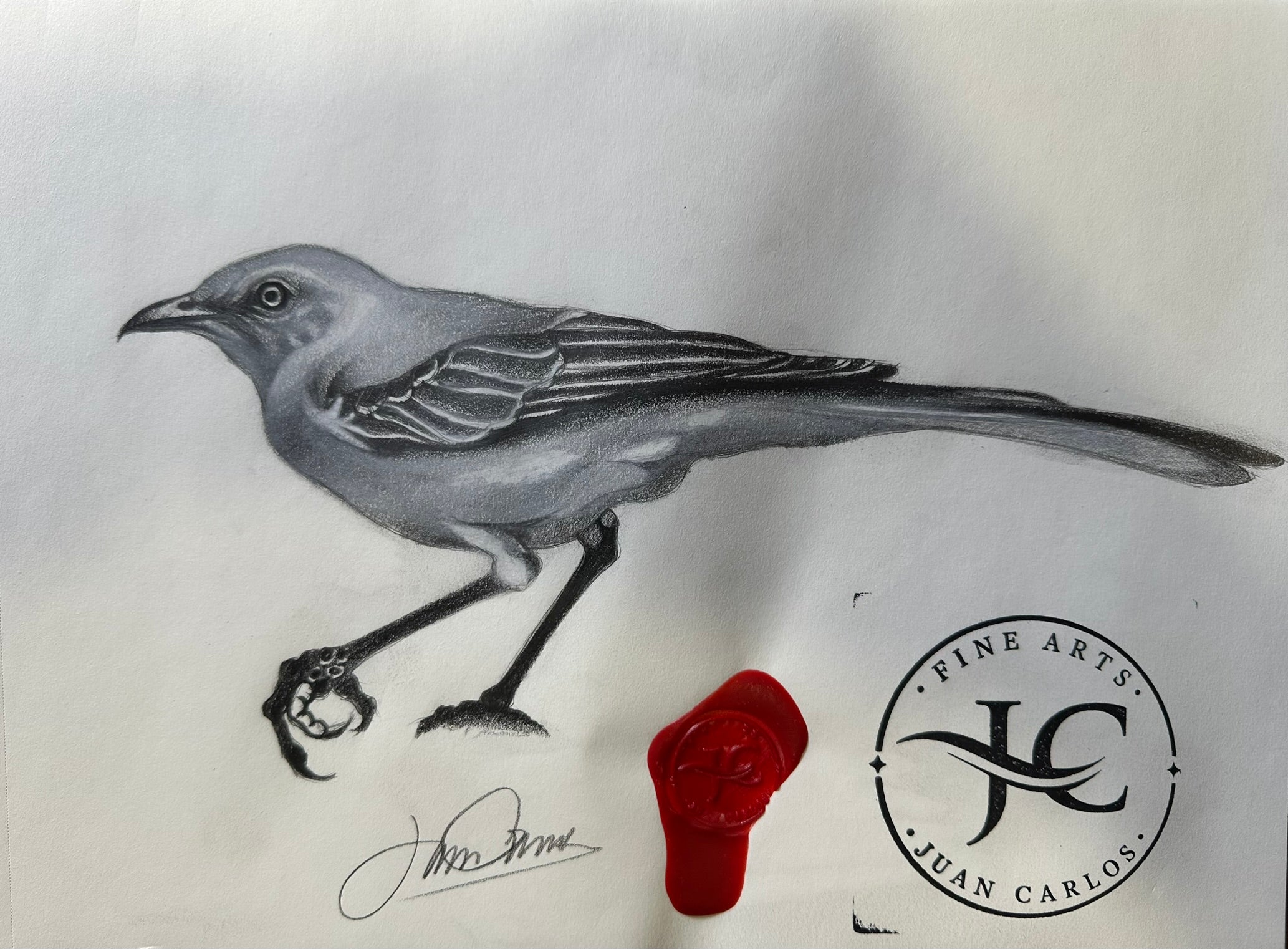 Mockingbird